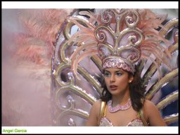 Carnaval de Mula 2014